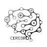 Dj Cerebro