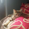 Oliver Lahoz Roda